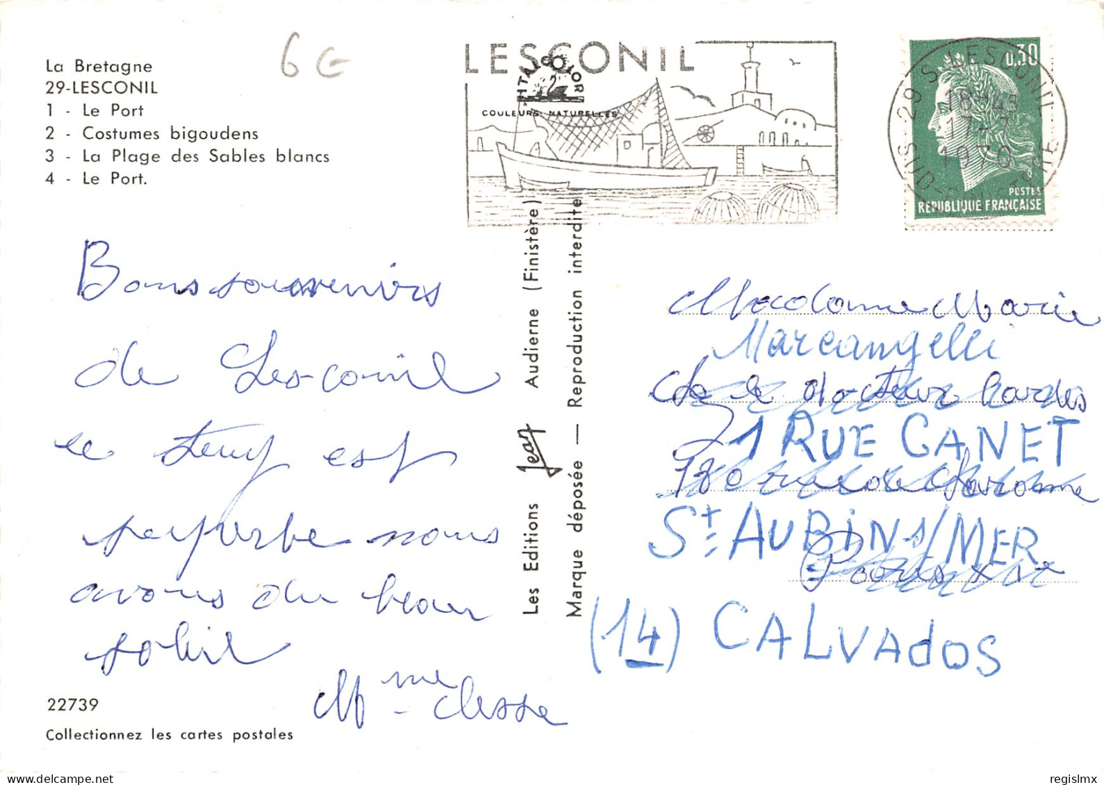 29-LESCONIL-N°T276-D/0429 - Lesconil