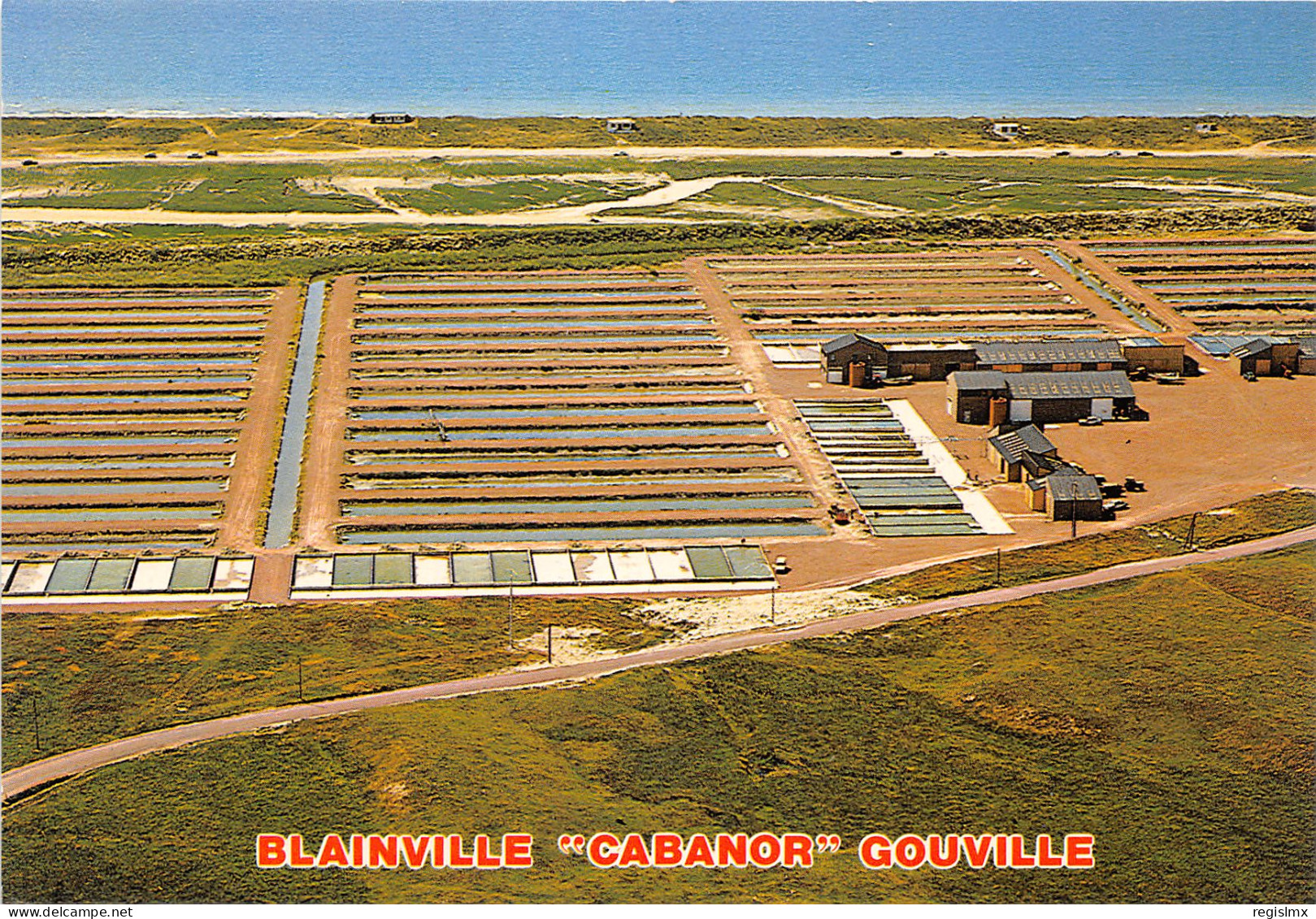50-BLAINVILLE-GOUVILLE-N°T278-B/0181 - Blainville Sur Mer