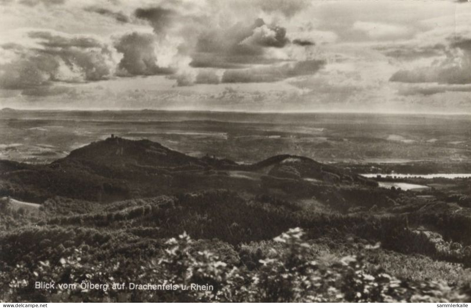 129718 - Drachenfels - Blick Vom Ölberg - Drachenfels