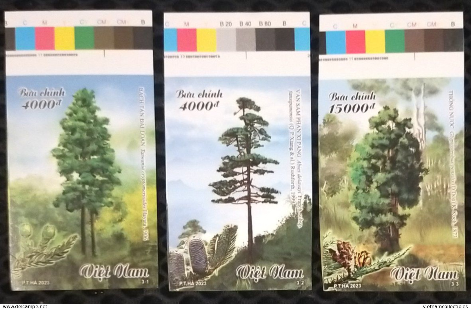 Viet Nam Vietnam MNH Imperf Stamps 2023 : PRECIOUS WOOD TREES / Plant / Flora / Tree / Fruit (Ms1182) - Viêt-Nam