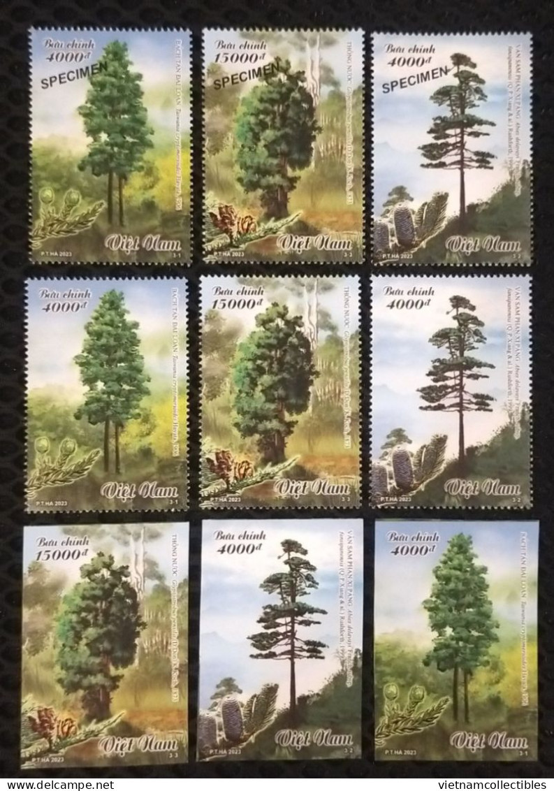 Viet Nam Vietnam MNH Perf, Imperf & Specimen Stamps 2023 : PRECIOUS WOOD TREES / Plant / Flora / Tree / Fruit (Ms1182) - Viêt-Nam