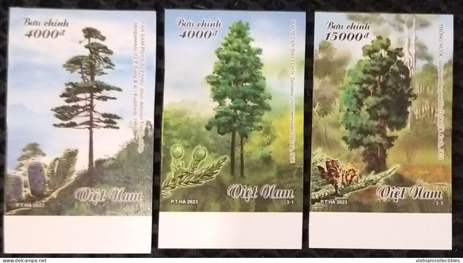 Viet Nam Vietnam MNH Imperf Stamps Issued On Oct 28, 2023 : PRECIOUS WOOD TREES / Plant / Flora / Tree / Fruit (Ms1182) - Viêt-Nam