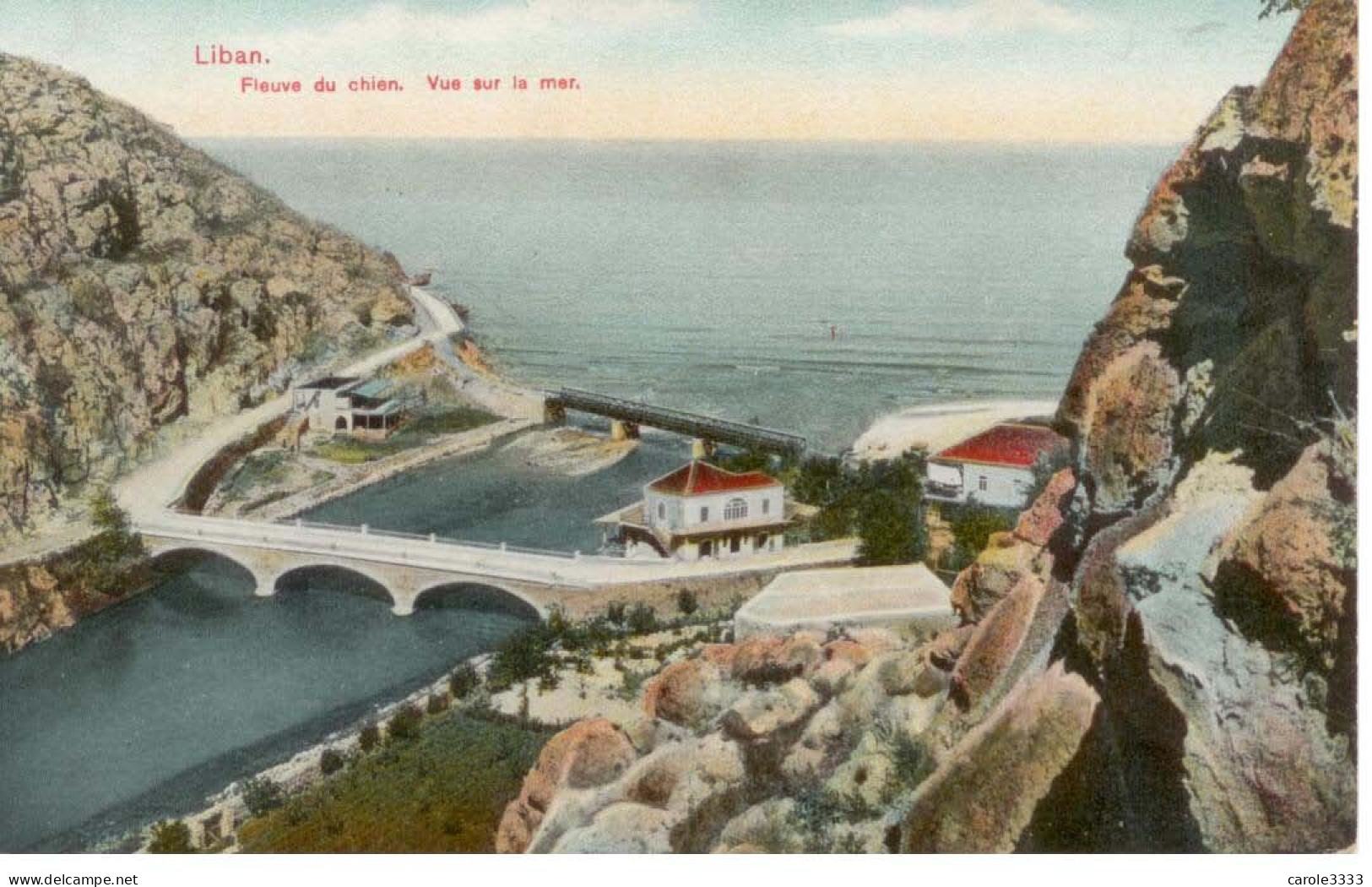 Liban - Lebanon - Fleuve Du Chien - Vue Sur La Mer  (Ed. Terzis) - Libano