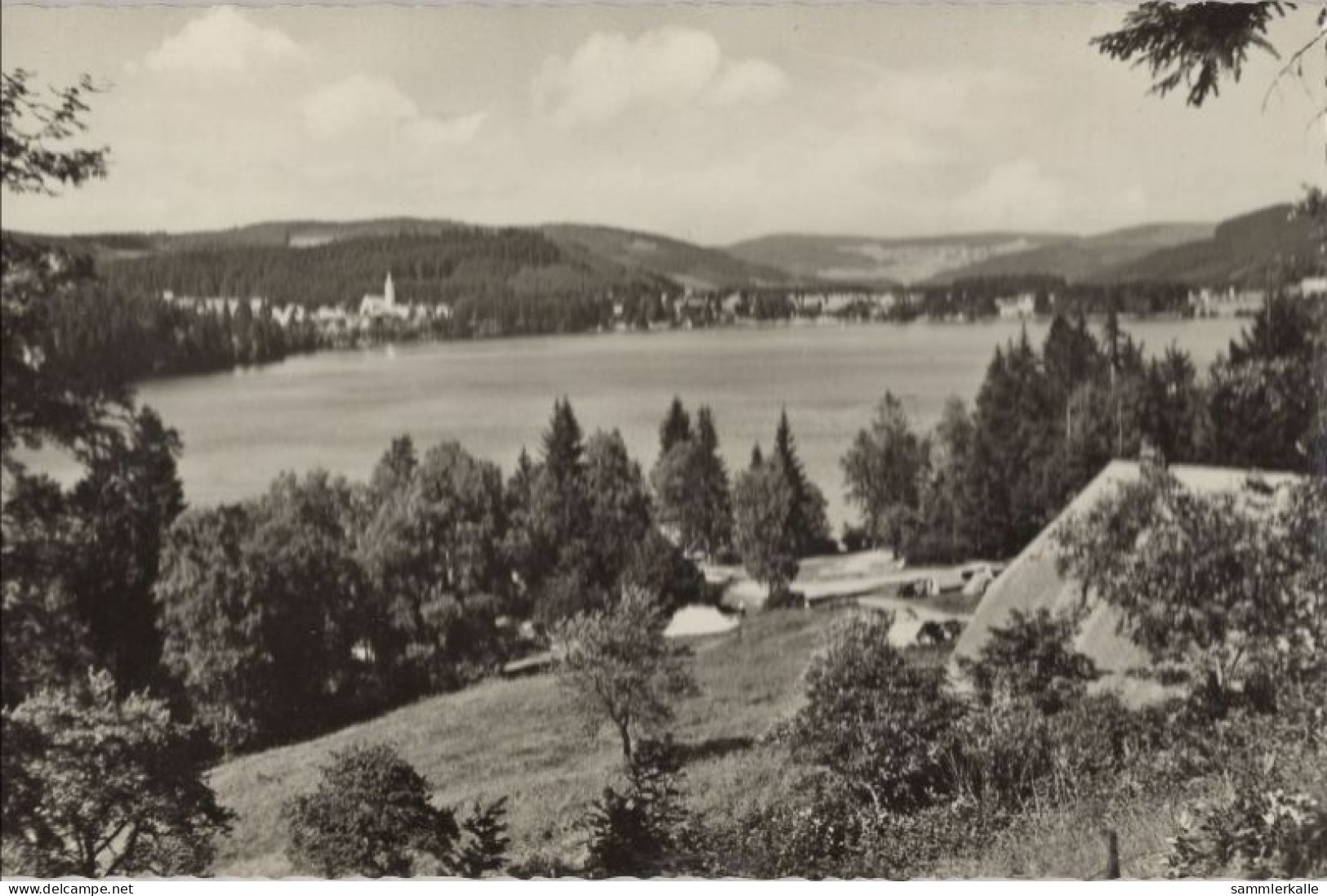 133728 - Titisee - Ansicht - Titisee-Neustadt