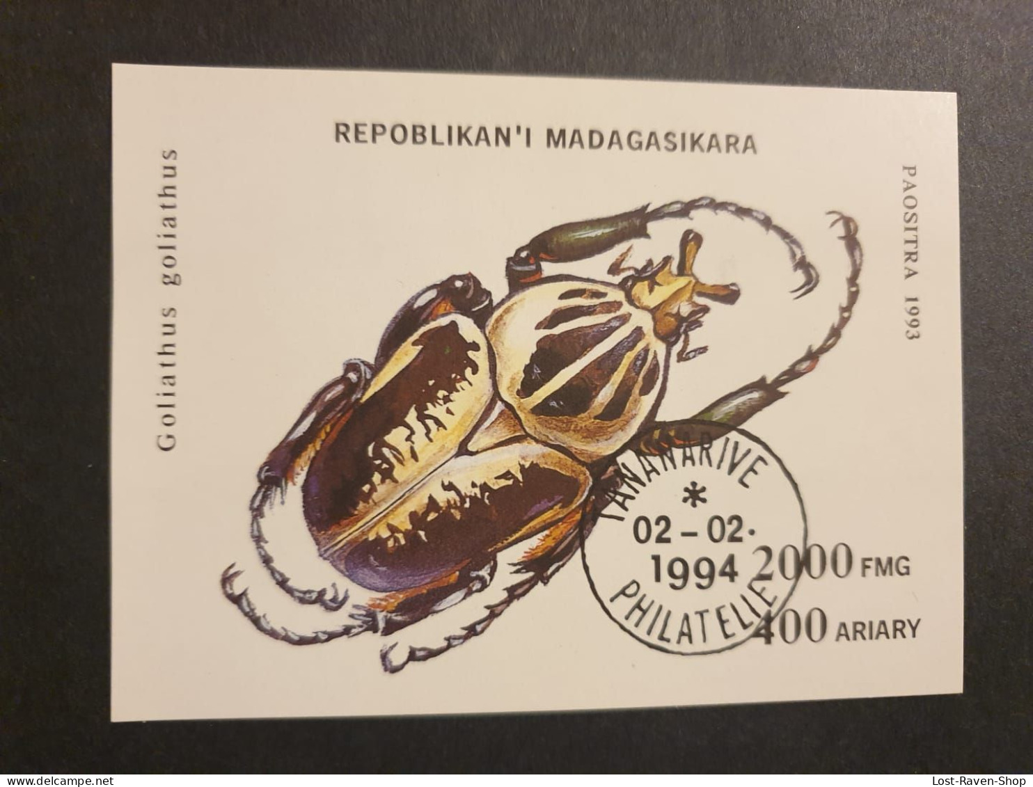 Madagaskar - Käfer - Goliathus - Madagascar (1960-...)