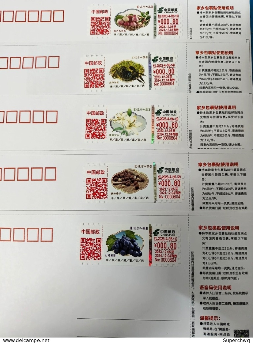 China Self Service Lottery Package 2023-4 Liaoning Seventh Grade Package Label 15 TS71 - Postcards