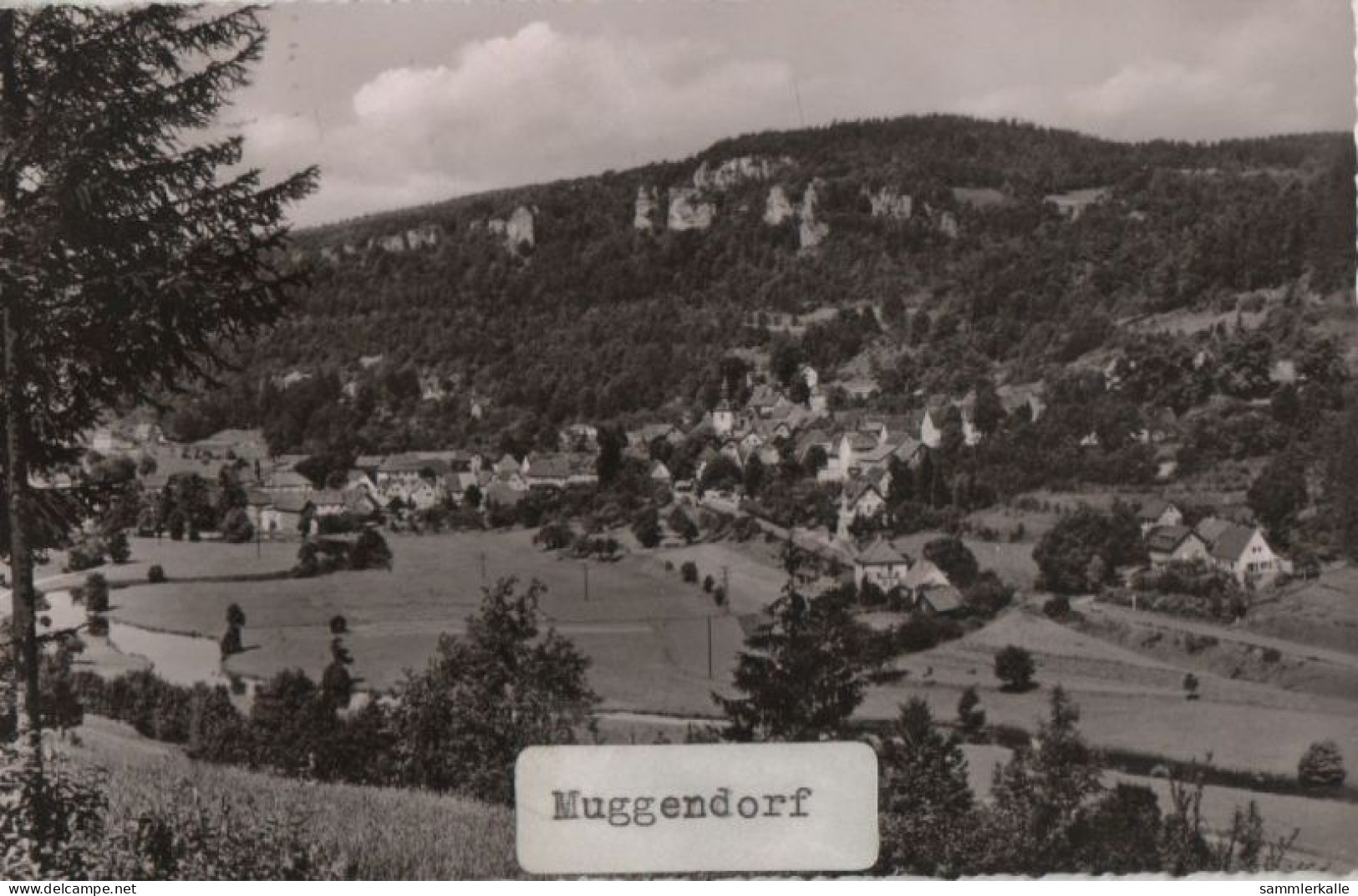 58249 - Wiesenttal-Muggendorf - 1960 - Forchheim