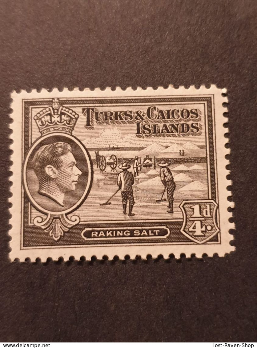 Turks And Caicos Island - Raking Salt 1/4 D - Turks & Caicos (I. Turques Et Caïques)