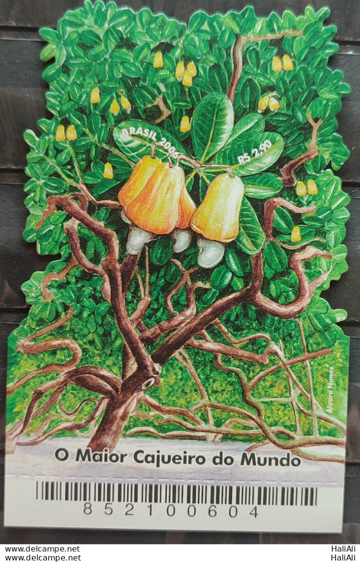 B 141 Brazil Stamp Largest Cashew Fruit Gastronomy Economy 2006 - Ungebraucht