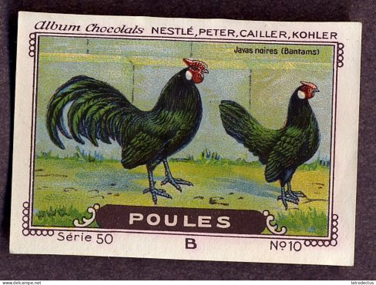 Nestlé - 50B - Poules, Chickens - 10 - Javas Noires (Bantams) - Nestlé