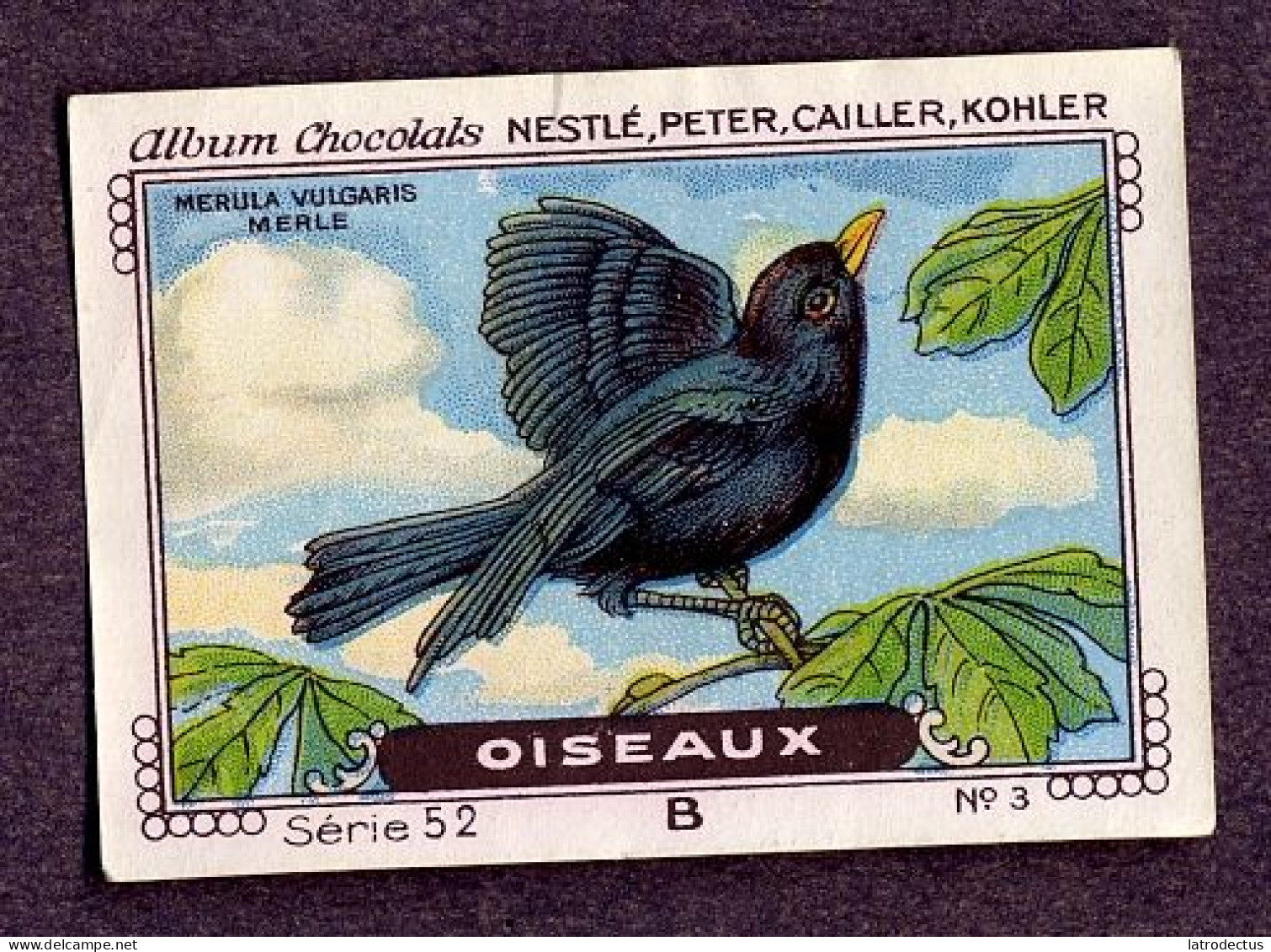 Nestlé - 52B - Oiseaux, Birds - 3 - Merle Noir, Blackbird, Merel, Turdus Merula - Nestlé