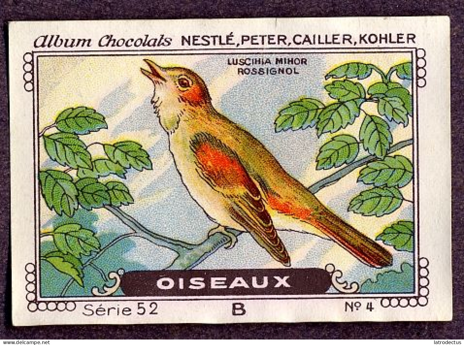 Nestlé - 52B - Oiseaux, Birds - 4 - Rossignol Philomèle, Luscinia Megarhynchos, Nachtegaal, Nightingale - Nestlé