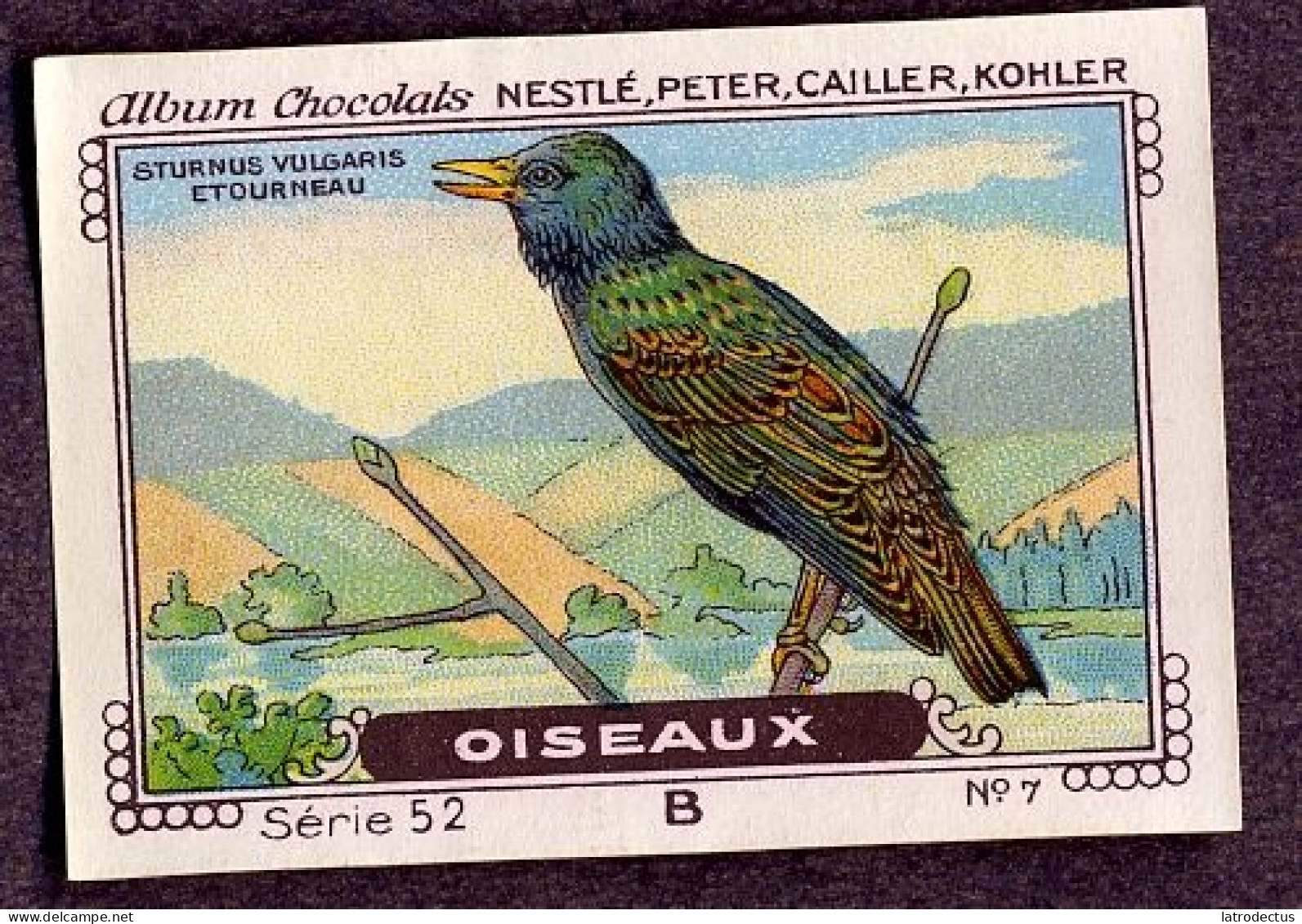 Nestlé - 52B - Oiseaux, Birds - 7 - Etourneau Sansonnet, Starling, Spreeuw, Sturnus Vulgaris - Nestlé