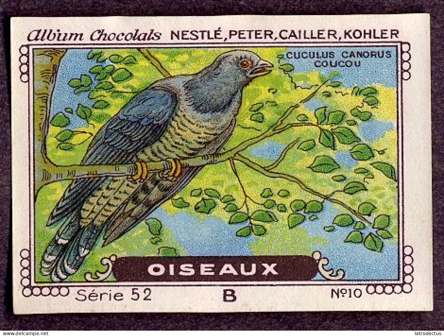 Nestlé - 52B - Oiseaux, Birds - 10 - Coucou Gris, Cuculus Canorus, Koekoek, Cuckoo - Nestlé