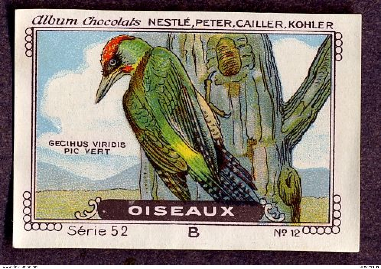 Nestlé - 52B - Oiseaux, Birds - 12 - Pic Vert, Groene Specht, Picus Viridis, Green Woodpecker - Nestlé