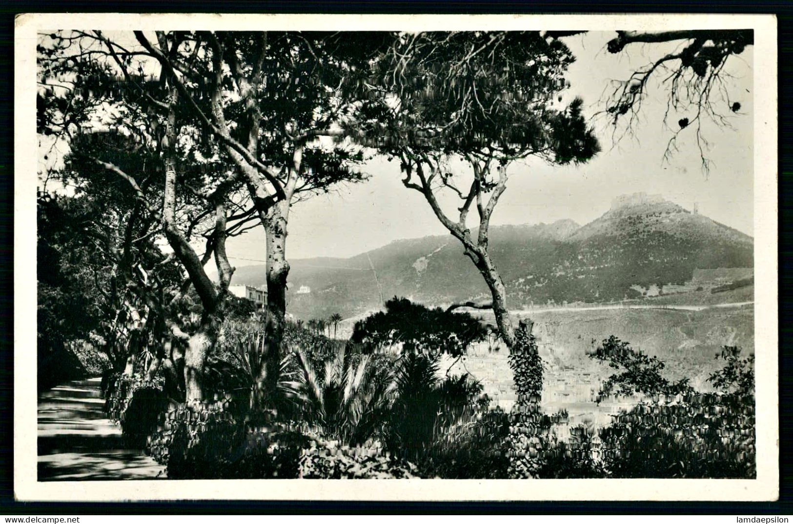 A70  ALGERIE CPSM ORAN - PROMENADE DE L' ETANG - Sammlungen & Sammellose