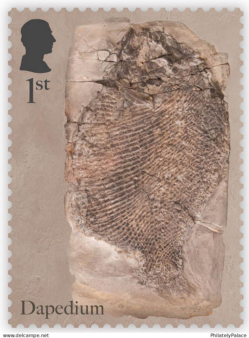 Great Britain UK, 2024, Prehistoric Animals,Mary Anning,Fossil Hunter, Natural History Museum,Set Of 4v, MS MNH (*) - Ongebruikt