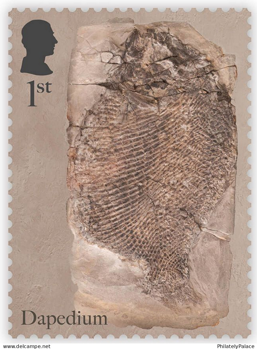 Great Britain UK, 2024, Prehistoric Animals,Mary Anning,Fossil Hunter, Natural History Museum,Set Of 4v, MS MNH (*) - Ungebraucht