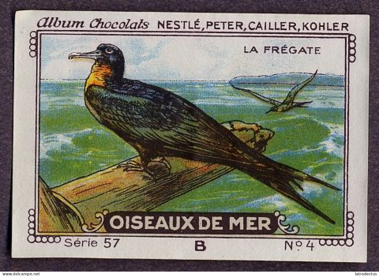 Nestlé - 57B - Oiseaux De Mer, Seabirds - 4 - La Frégate, Frigatebird - Nestlé