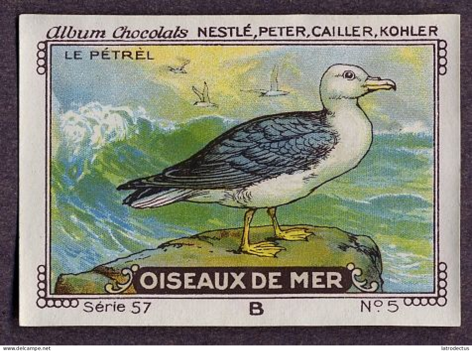 Nestlé - 57B - Oiseaux De Mer, Seabirds - 5 - Le Pétrel - Nestlé