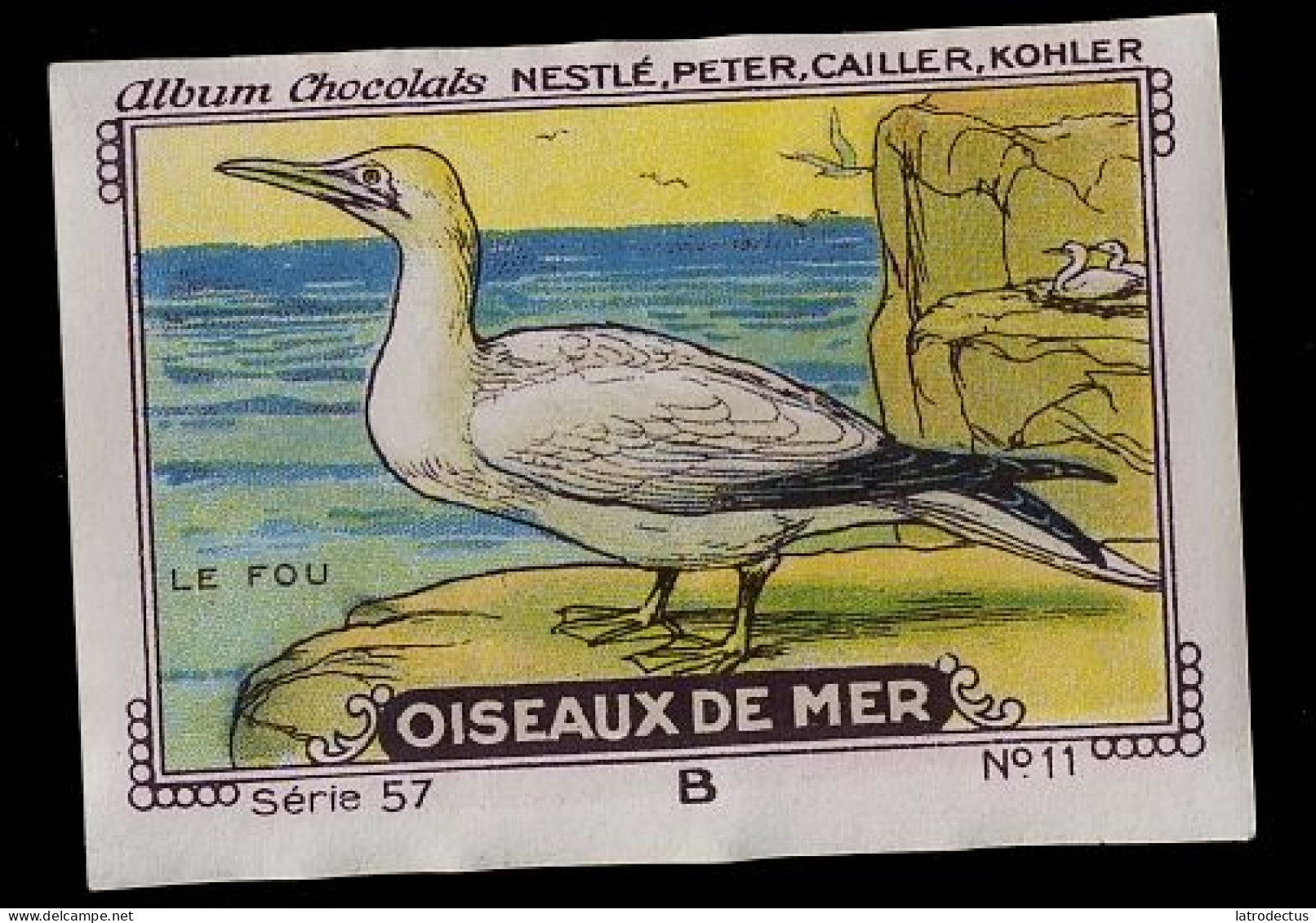 Nestlé - 57B - Oiseaux De Mer, Seabirds - 11 - Le Fou, Fou De Bassan, Northern Gannet - Nestlé