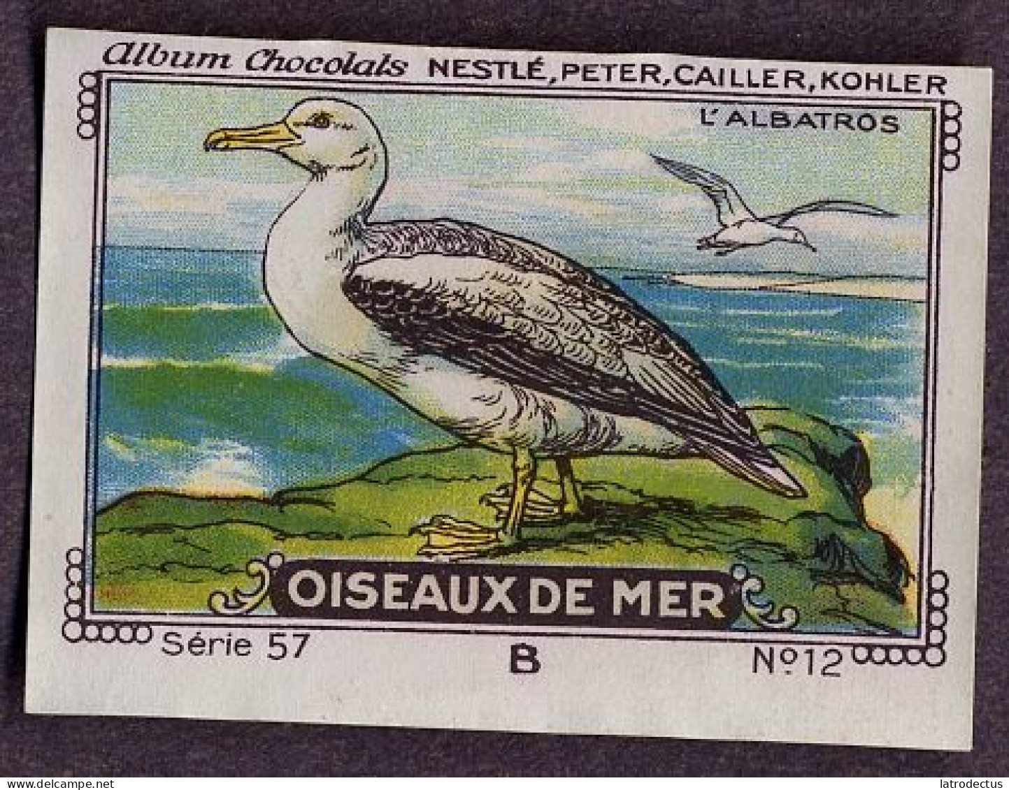 Nestlé - 57B - Oiseaux De Mer, Seabirds - 12 - L'Albatros, Albatross - Nestlé