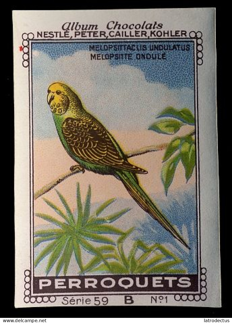 Nestlé - 59B - Perroquets, Parrots - 1 - Melopsitte Ondule, Budgerigar, Pet Parakeet, Melopsittacus Undulatus - Nestlé