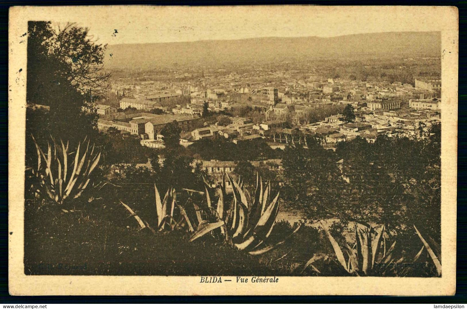 A70  ALGERIE CPA BLIDA - VUE GENERALE - Collections & Lots