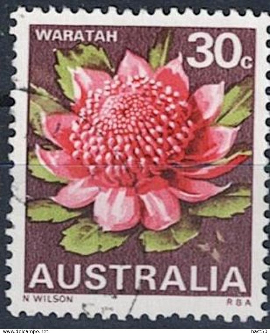 Australien Australia - Waratah (Telopea Speciosissima) (MiNr: 403) 1968 - Gest Used Obl - Used Stamps