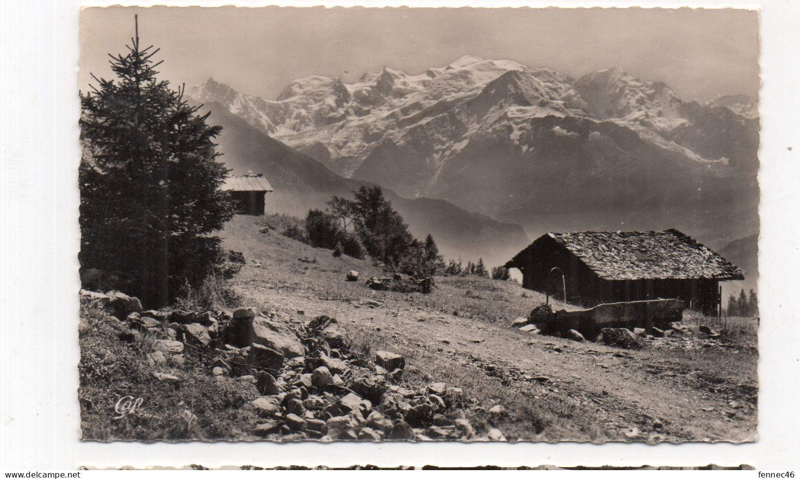 74 - PLATEAU D'ASSY - SLe Massif Du Mont Blanc Depuis Plaine Joux - 1956 (J30) - Passy
