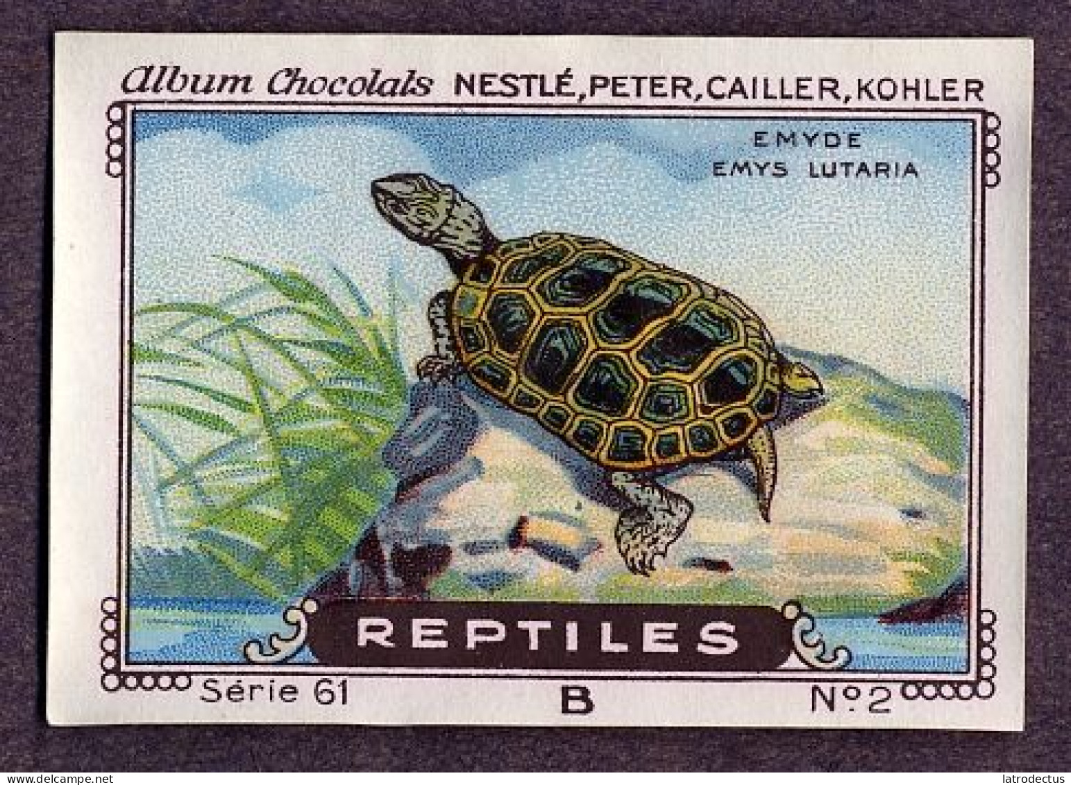 Nestlé - 61B - Reptiles - 2 - Emyde, Emys Lutaria - Nestlé