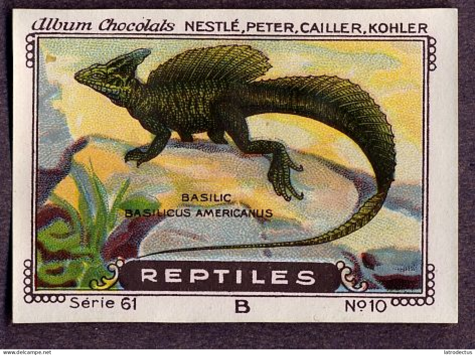 Nestlé - 61B - Reptiles - 10 - Basilic, Basiliscus Basiliscus, Common Basilisk - Nestlé