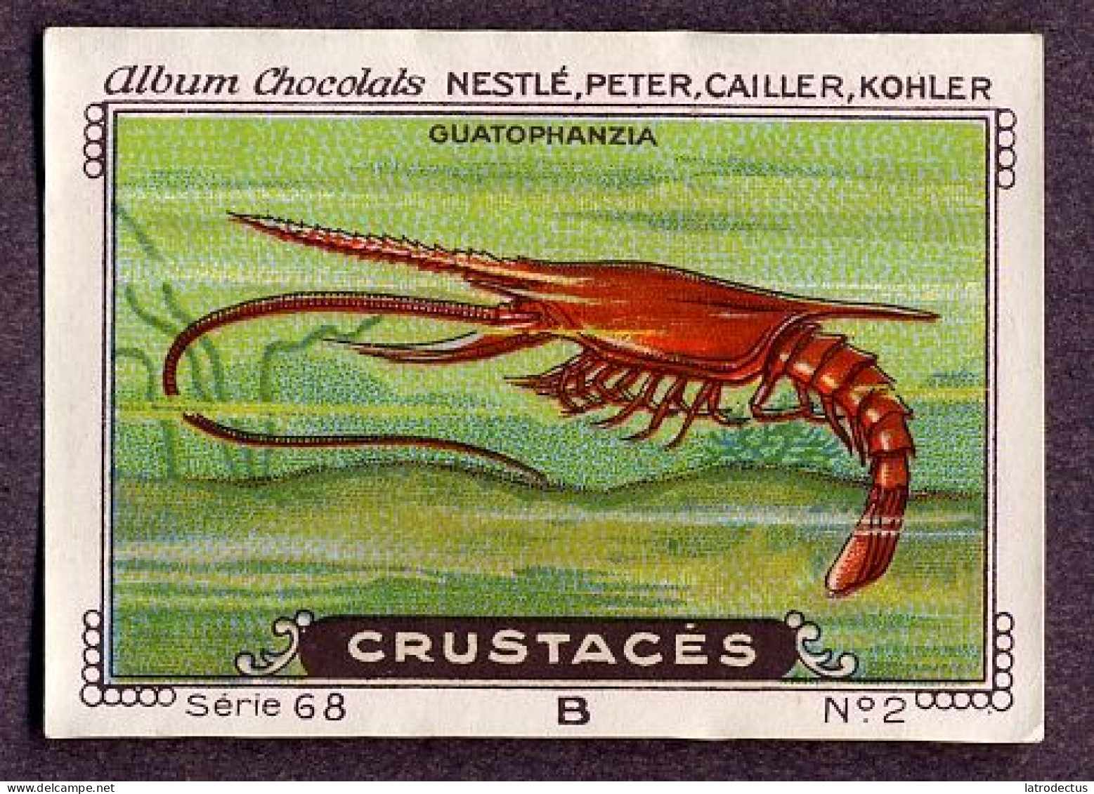 Nestlé - 68B - Crustacés, Crustacea, Crustaceans - 2 - Guatophanzia - Nestlé