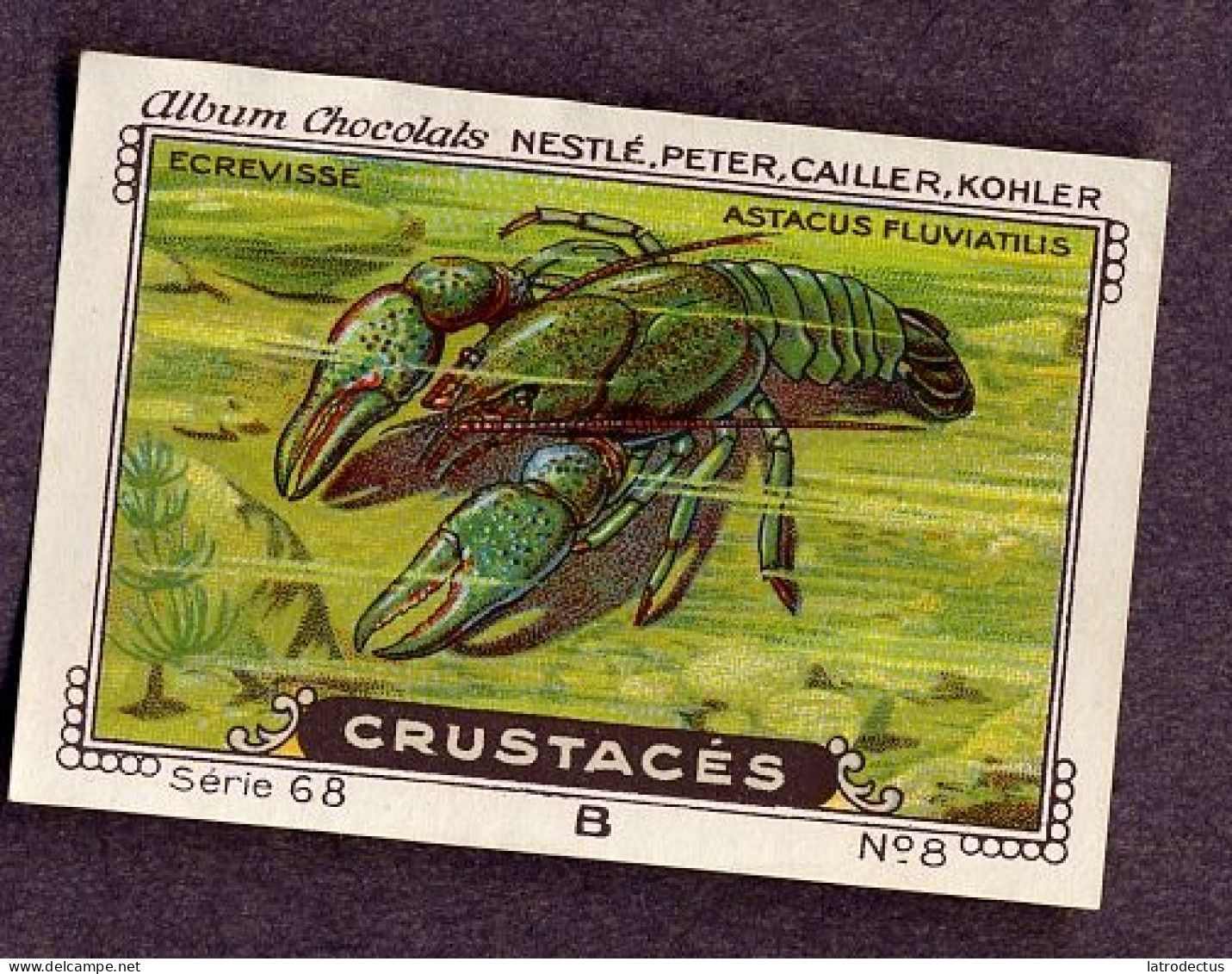 Nestlé - 68B - Crustacés, Crustacea, Crustaceans - 8 - Ecrevisse, Crayfish - Nestlé