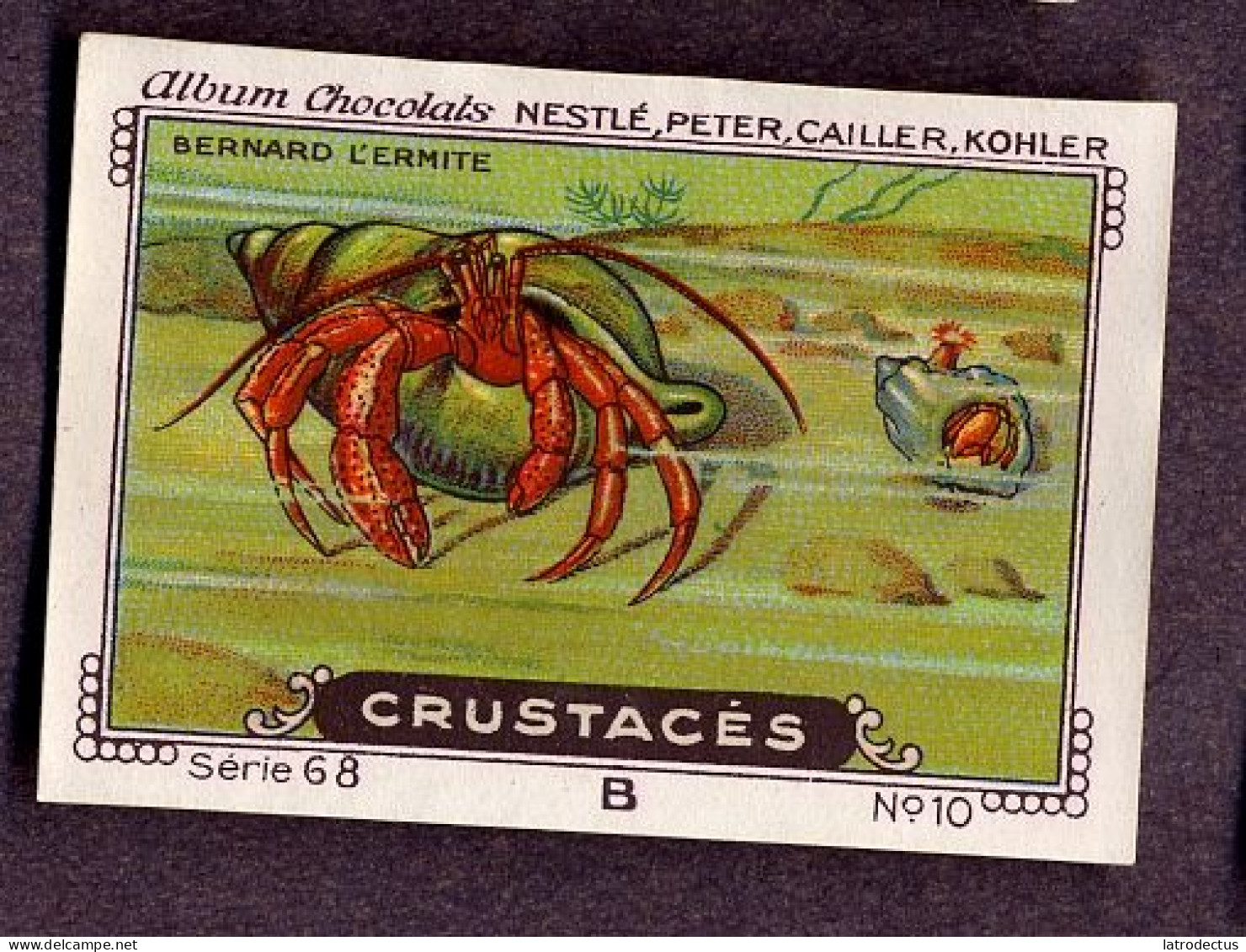 Nestlé - 68B - Crustacés, Crustacea, Crustaceans - 10 - Bernard L'ermite, Hermit Crab - Nestlé