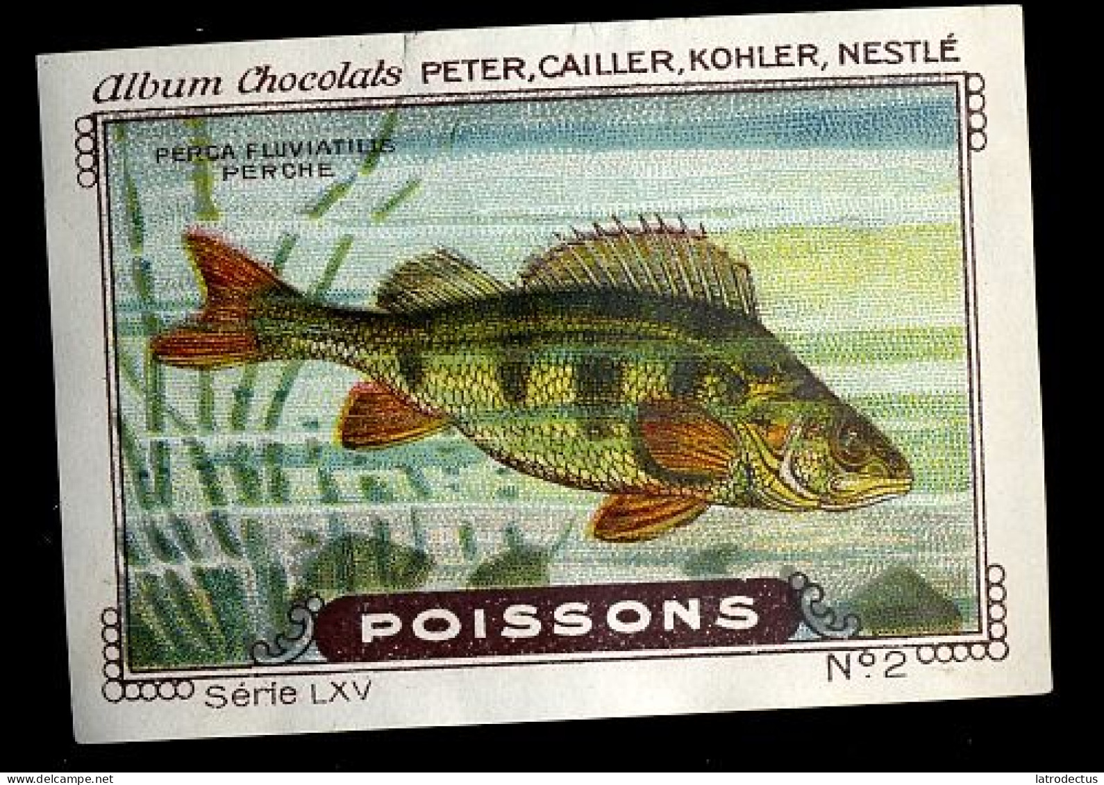 Nestlé - LXV - Poissons, Fish - 2 - Perche - Nestlé