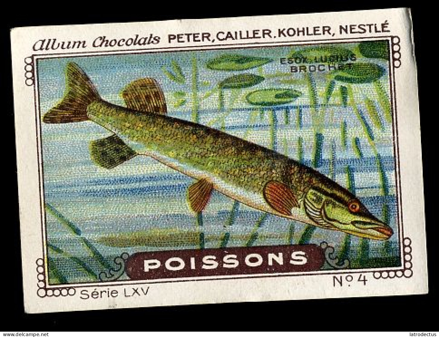 Nestlé - LXV - Poissons, Fish - 4 - Brochet - Nestlé