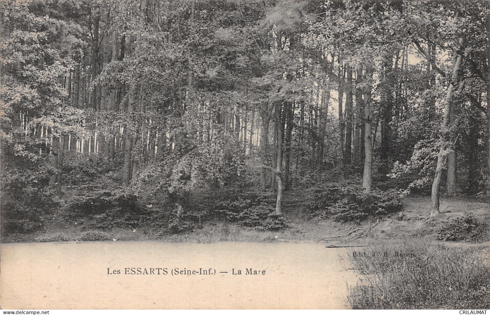 76-LES ESSARTS-N°T2897-F/0349 - Les Essarts