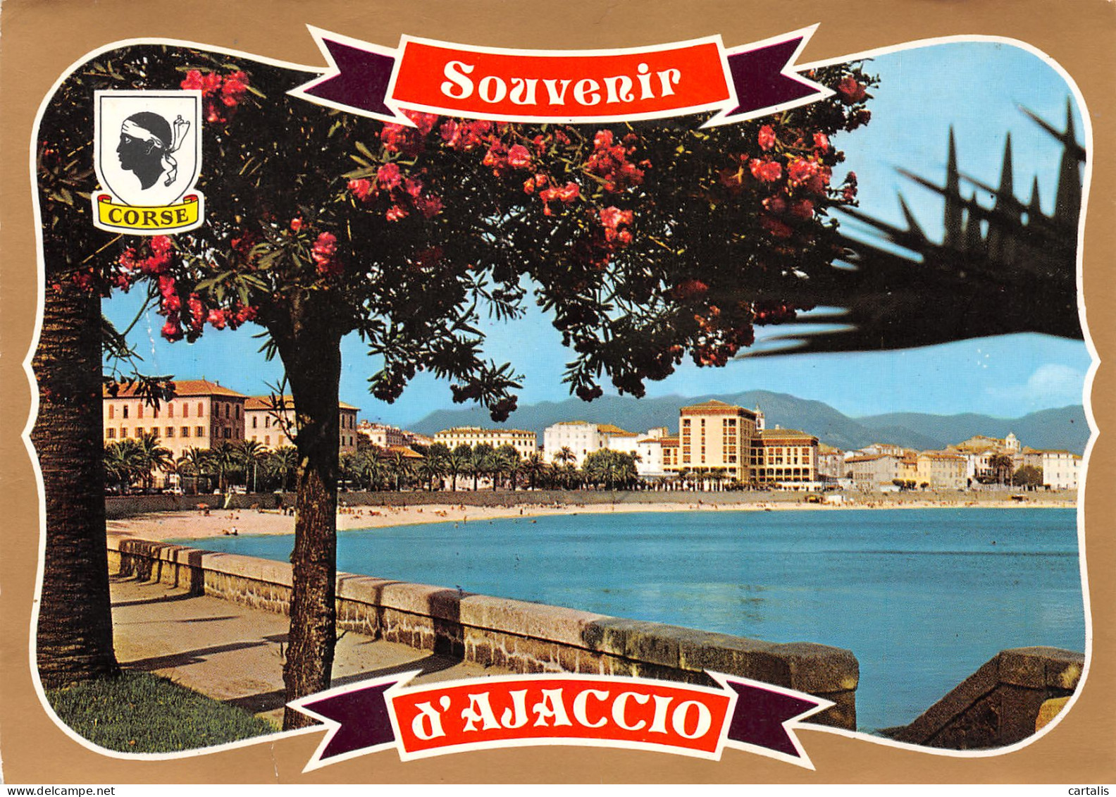 20-AJACCIO-N°3846-D/0163 - Ajaccio