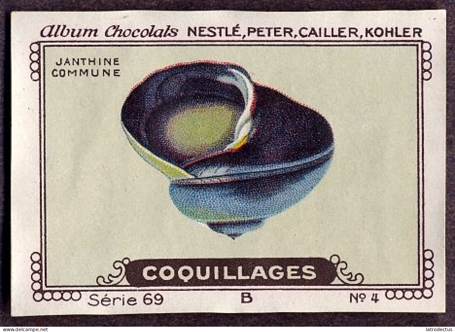 Nestlé - 69B - Coquillages, Shellfish - 4 - Janthine - Nestlé