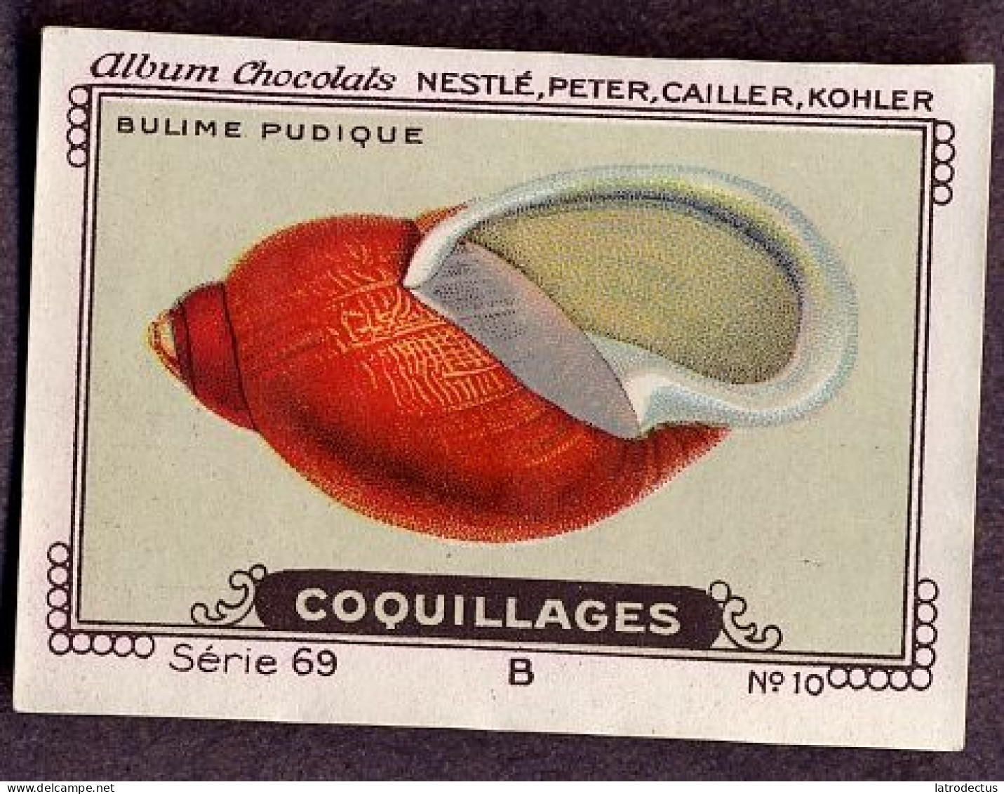 Nestlé - 69B - Coquillages, Shellfish - 10 - Bulime - Nestlé
