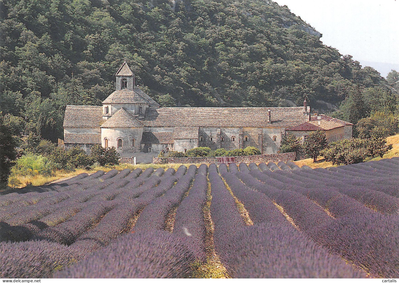 84-GORDES-N°3850-A/0111 - Gordes