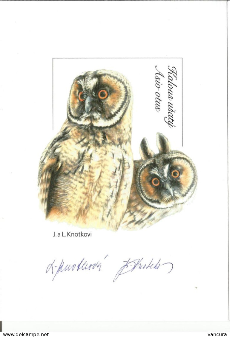 Czech Republic European Owls Asio Otus 2015 - Owls