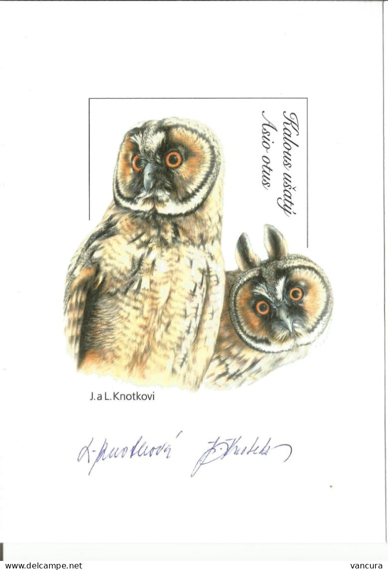 Czech Republic European Owls Asio Otus 2015 - Búhos, Lechuza