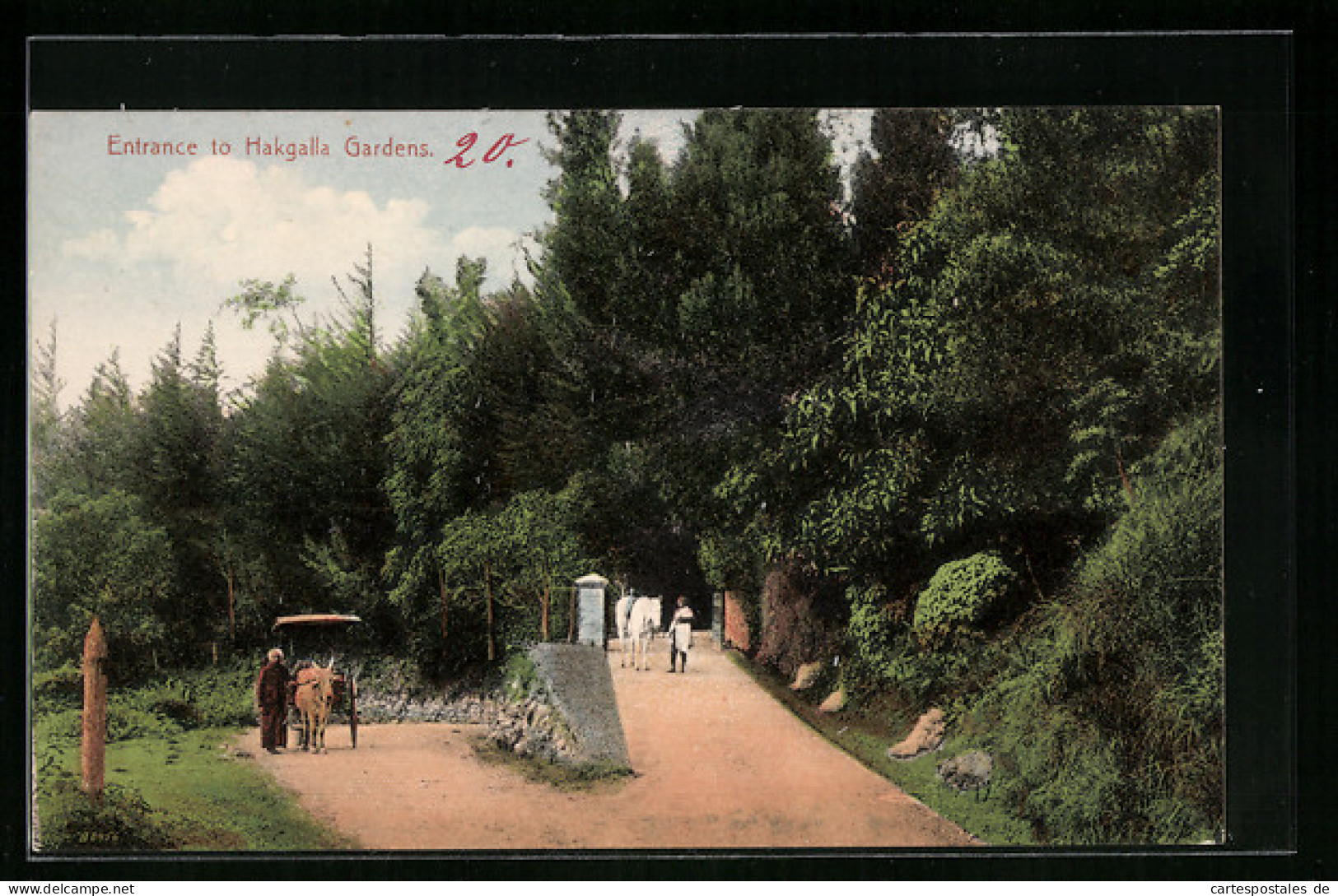 AK Nuwara Eliya, Hakgala Botanic Gardens, Entrance  - Sri Lanka (Ceylon)