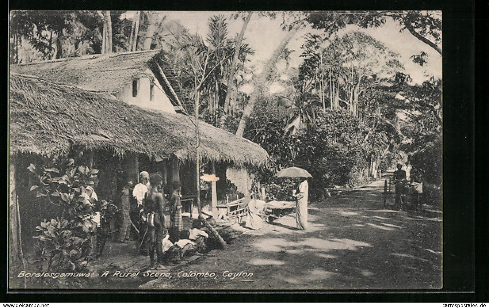 AK Colombo, A Rural Scene  - Sri Lanka (Ceylon)