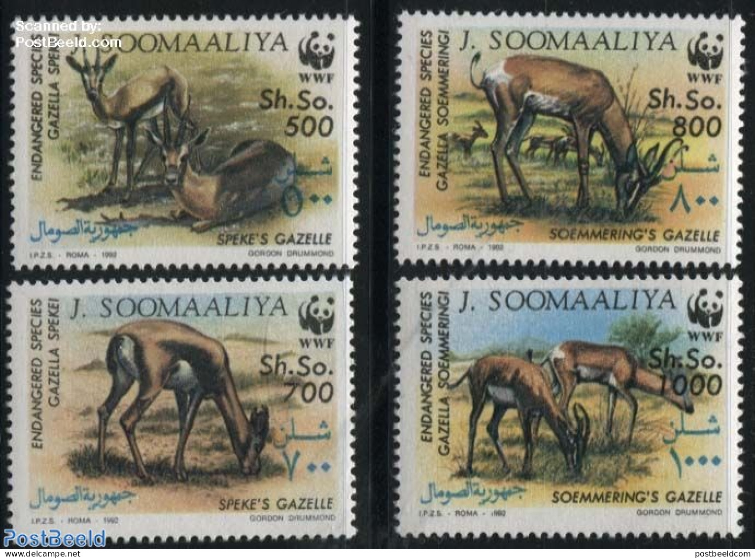 Somalia 1992 Animals, Only WWF 4v, Mint NH, Nature - World Wildlife Fund (WWF) - Somalië (1960-...)