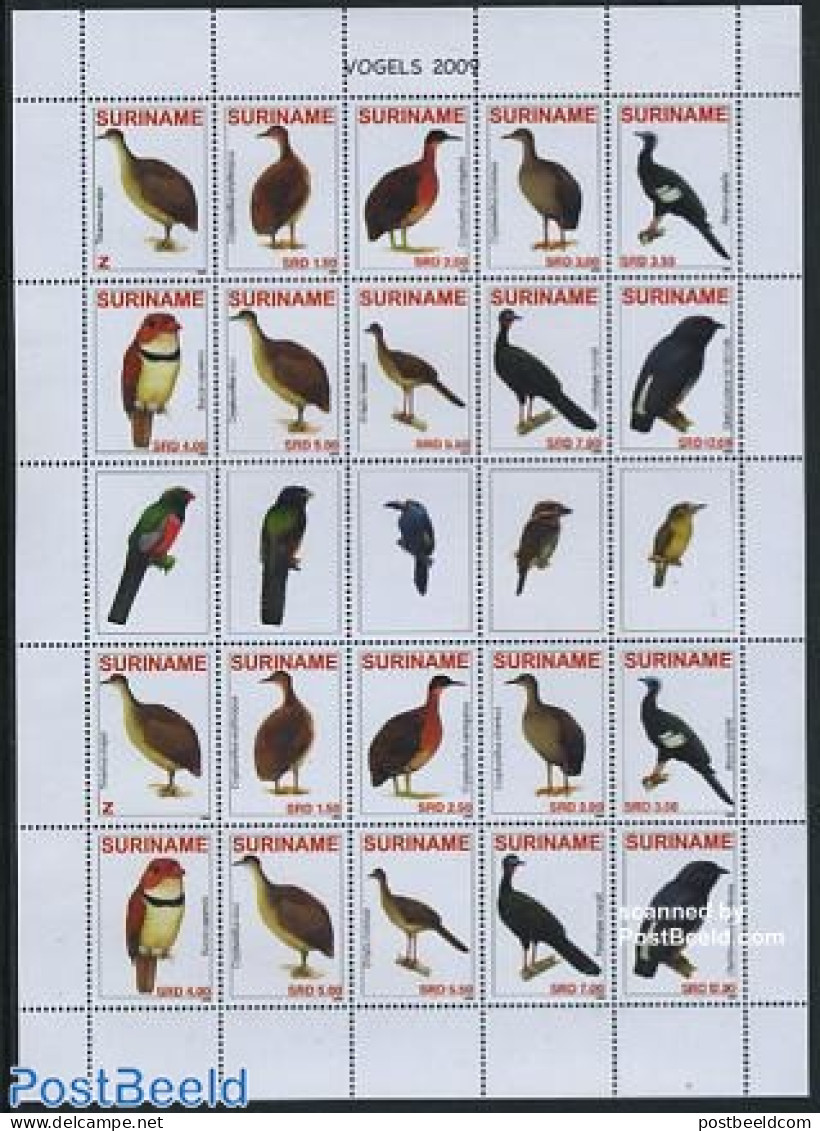 Suriname, Republic 2009 Birds M/s With 2 Sets, Mint NH, Nature - Birds - Surinam