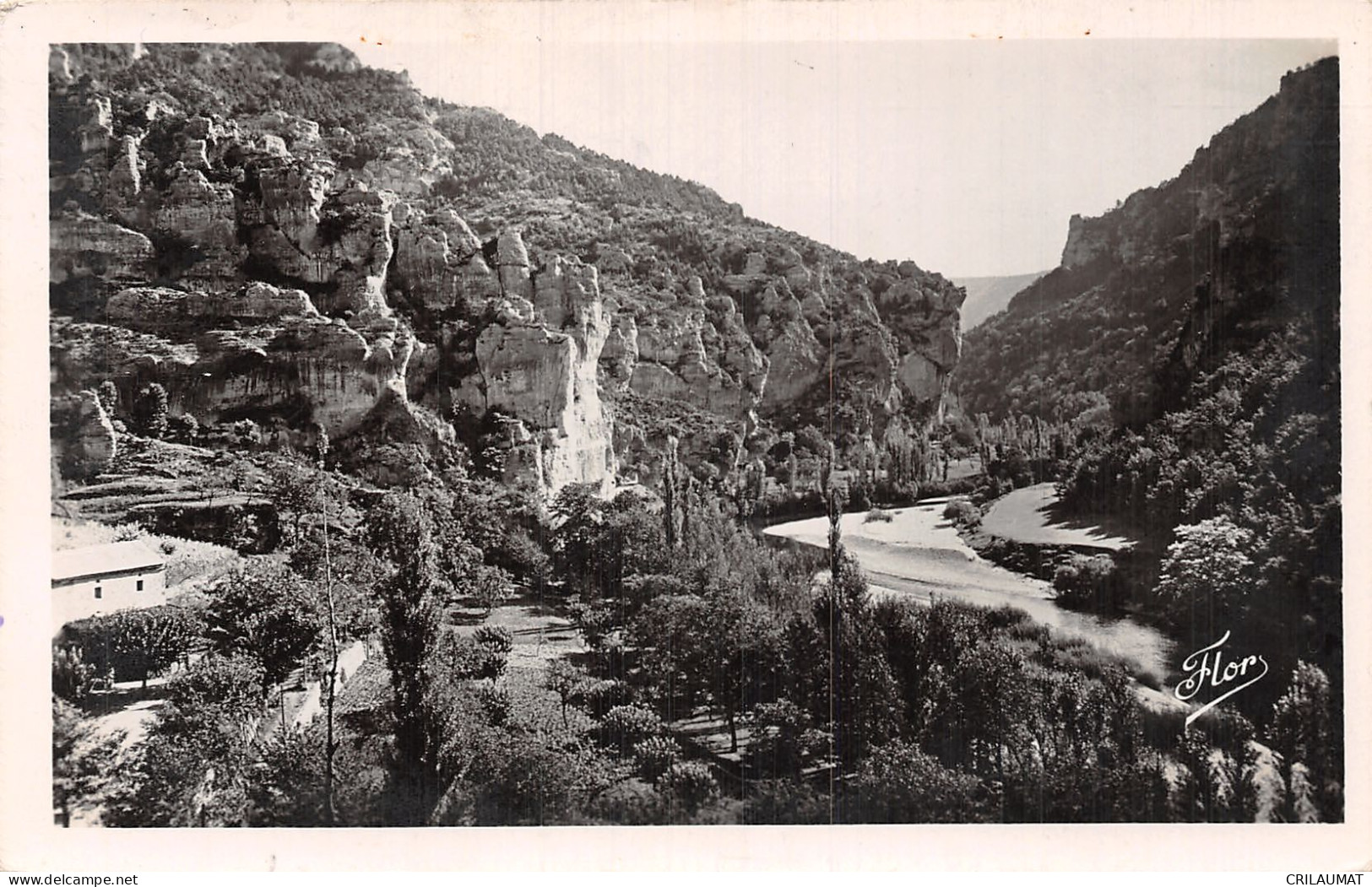 48-GORGES DU TARN CIRQUE DES BAUMES-N°T2903-G/0115 - Ungebraucht