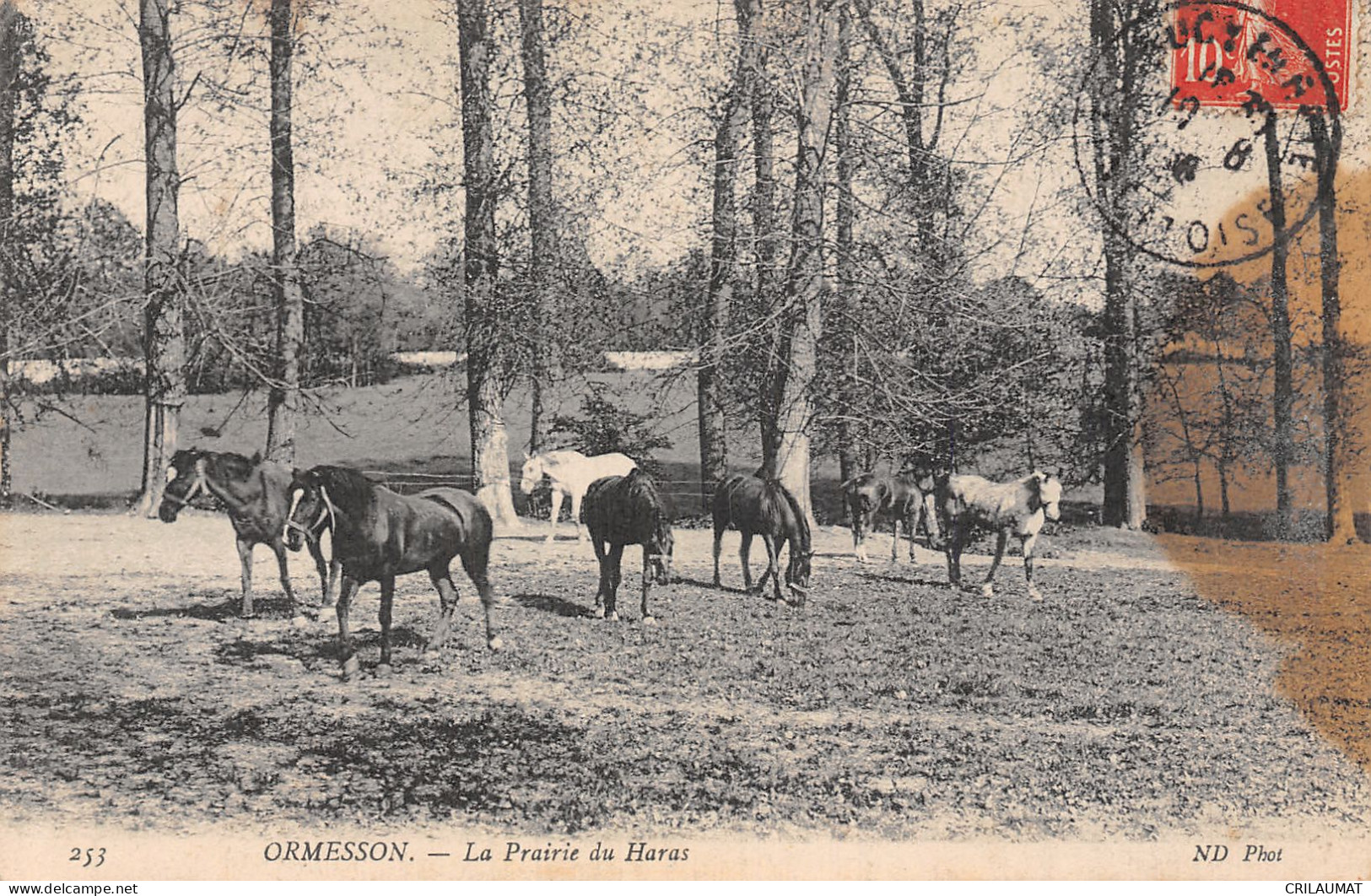 94-ORMESSON SUR MARNE-N°T2903-F/0317 - Ormesson Sur Marne